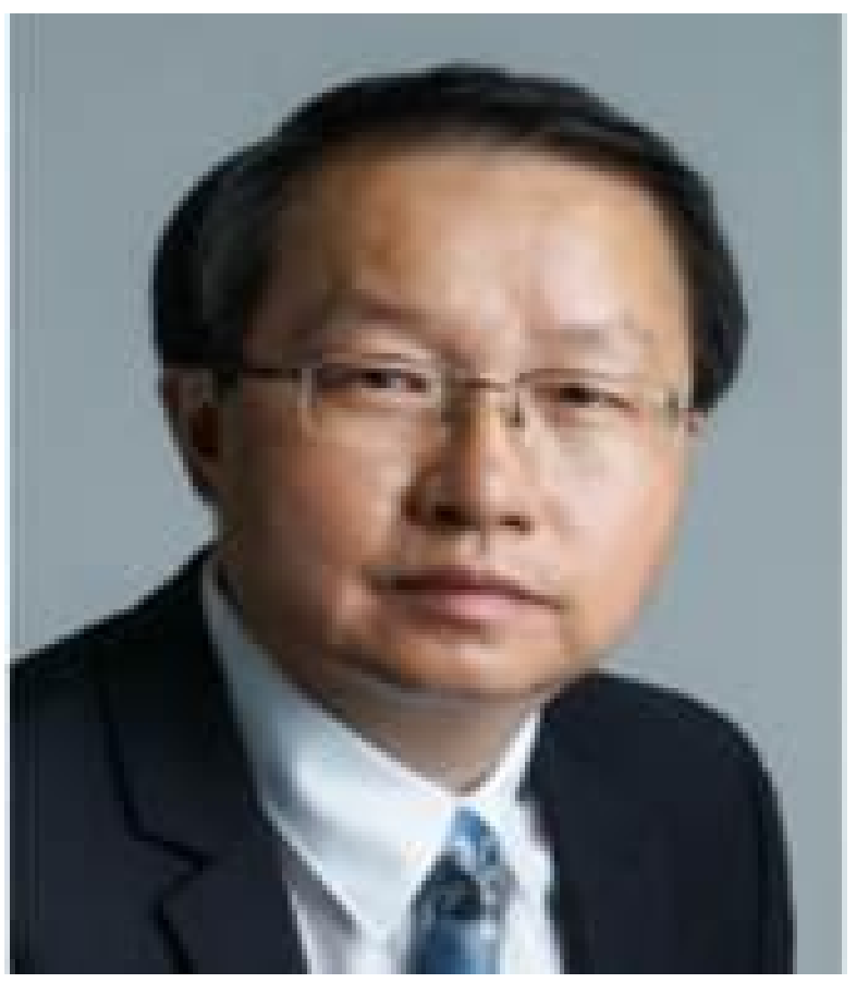 Ah Hwee TAN